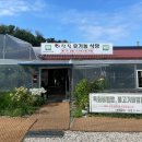 자연농업이장집