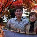 장군의집 민박 이미지