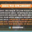 원곡동물병원 네이버블로그