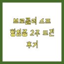 브로콜리 스프 항염증 2주 도전 후기