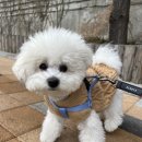 엠엘비수원