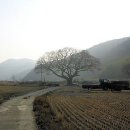 원산마을(술인방) Daum카페