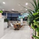 하늘스크린골프존 이미지