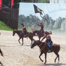 더마파크 이미지