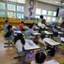 남도초등학교 1, 2학년 44명(2024. 6 . 4) 이미지