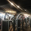 ELITE FIT 24 이미지