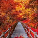 10월 14일 화요일 간추린 뉴스와 날씨 이미지