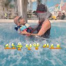 미채원별관 | [숙소][아이와 국내여행] 소노문 단양 리조트 후기