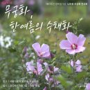 보신각 타종식, 한옥콘서트…서울 곳곳에 광복절 행사 이미지
