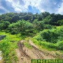 홍익부동산중개사무소 이미지