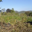 문산읍-5 이미지