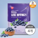 올리브 네이버블로그