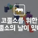 코뿔소PC 이미지