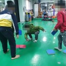 센텀태권도장 네이버블로그