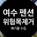 늘푸른숲 이미지