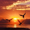 바른프렌즈 이미지