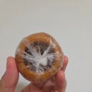 소행복