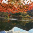 구례문화원 이미지