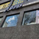 미독스 이미지