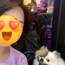 역전할머니맥주 일산식사점