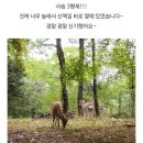 형제사슴목장 이미지