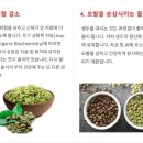 빈코리아 이미지