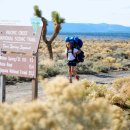 와일드그린 이미지