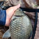 즐거운낚시 이미지