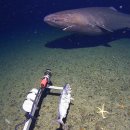 gc-camera-034 이미지