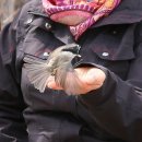 오봉산 맨발 등산로 이미지