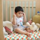 동대문보건약국 이미지