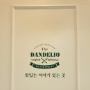 민들레김밥 - 달서구 조암로 153 | 민들레김밥