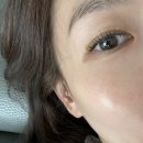 꼼다나래쉬