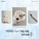 [경기,하남]세라링 잘 하는곳 추천! 하남 감일 왁싱샵 &lt;숨니&gt;(전후사진0)