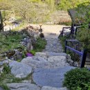 산에는 꽃이피네민박 | <원주>_ 금대리 카페 "산에는 꽃이피네"