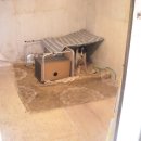 스테이 리네 이미지