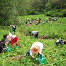 차항2리 마을회관 이미지
