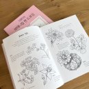 보타니컬 꽃 식물 드로잉 이미지