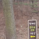 영민푸드 이미지