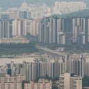 강남-022 이미지