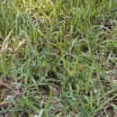 용지중학교 이미지