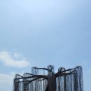 수기해변 Daum카페