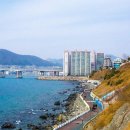 부산요트투어