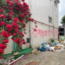 성일장여관 이미지