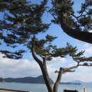 해송 - 군산시 서수송1길 12-5 | 해송