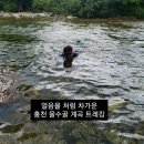 🏞홍천 을수골 계곡트레킹 이미지