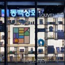 동백 이미지