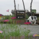 오세요목장 이미지