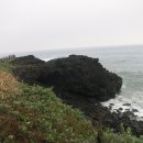 금복부분정비 | 제주도 그 길, 아들과 함께 걷다fuw