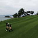 더 리얼사우스 이미지